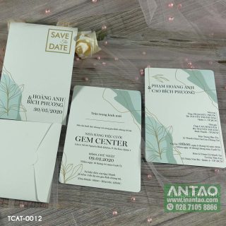 TCAT-012