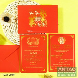 TCAT-019